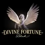 Divine Fortune Black game cover